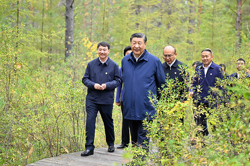 9月6日至8日，中共中央總書記、國(guó)家主席、中央軍委主席習(xí)近平在黑龍江考察。這是6日下午，習(xí)近平在大興安嶺地區(qū)漠河市漠河林場(chǎng)自然林區(qū)考察